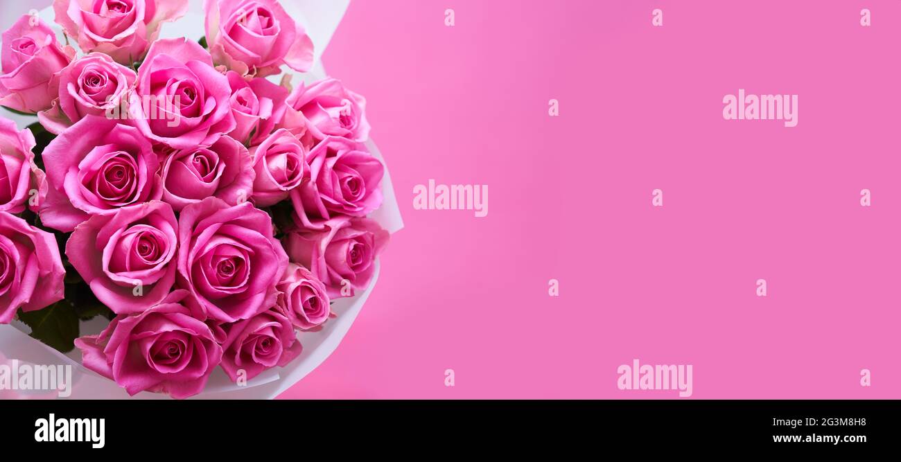 A bouquet of pink roses on a pink isolated background, a banner - hoa hồng vàng: Hãy cùng chiêm ngưỡng vẻ đẹp của những bông hoa hồng vàng đầy tinh khiết trên nền hình đơn sắc. Đó là tấm banner hoàn hảo để thể hiện tình cảm chân thành tới người thân, bạn bè hoặc đối tác. Hãy xem ảnh liên quan để cảm nhận sự tươi mới và đầy sức sống từ những bông hoa này.