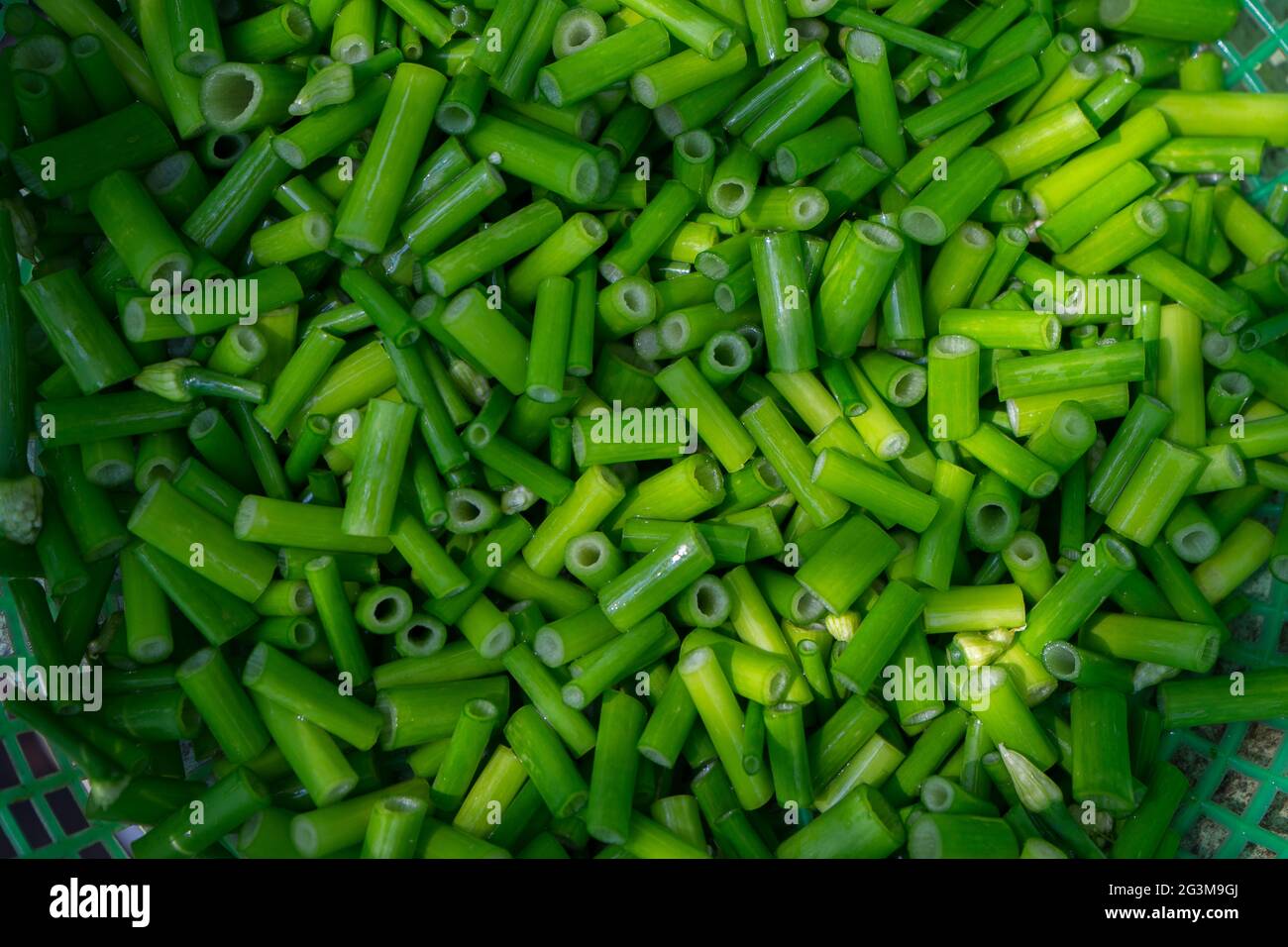 Allium Cepa Flower High Resolution Stock Photography and Images - Alamy
