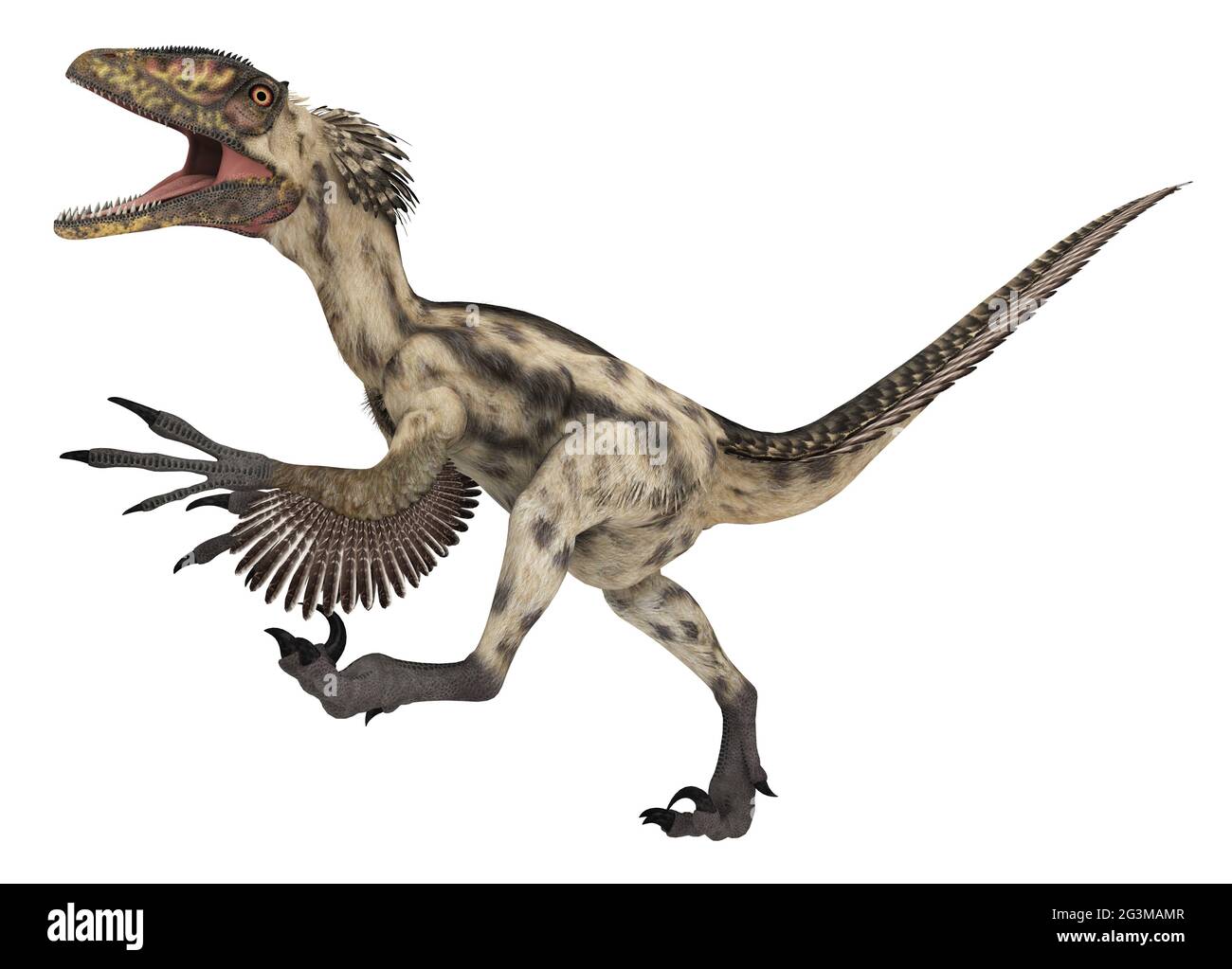 Deinonychus stock image