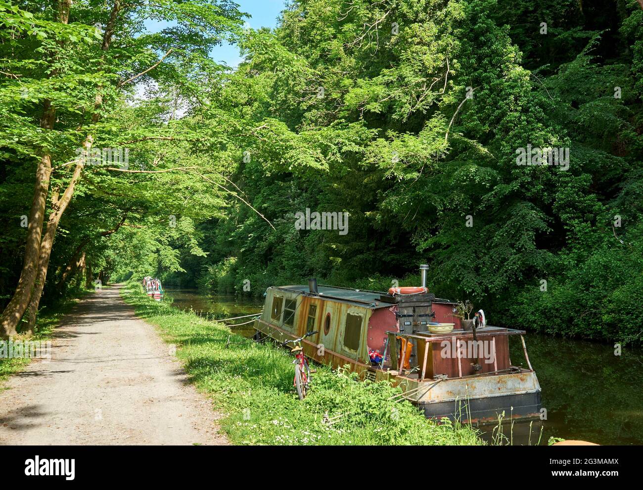 Canal life on the Kennet & Avon Canal, between Bath and Bradford upon Avon, South West England, UK Stock Photo