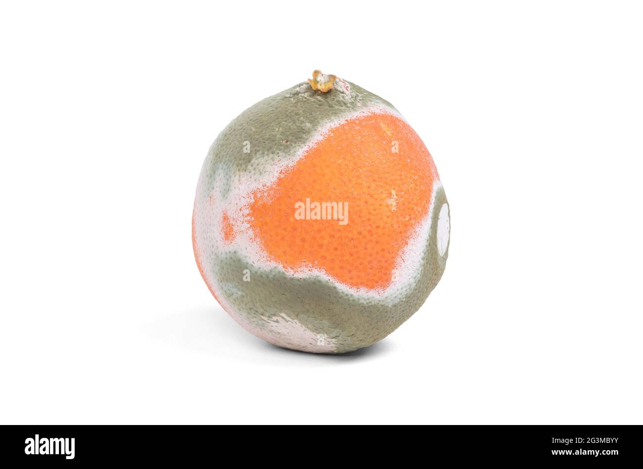 Moldy orange isolated Stock Photo Alamy