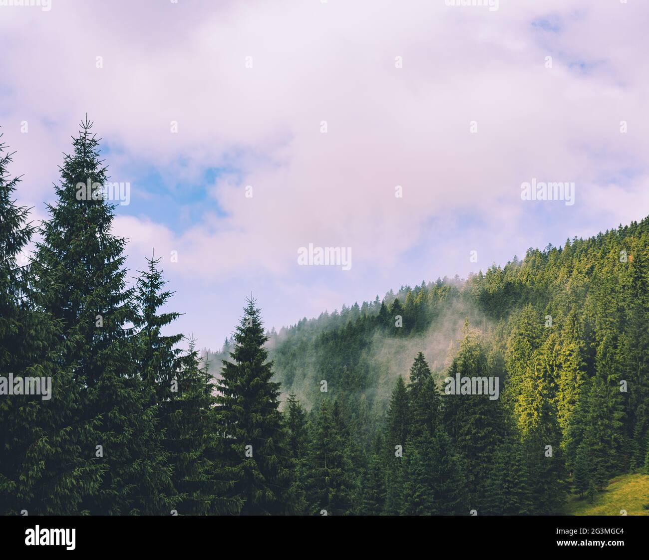 Misty mountain landscape Stock Photo - Alamy