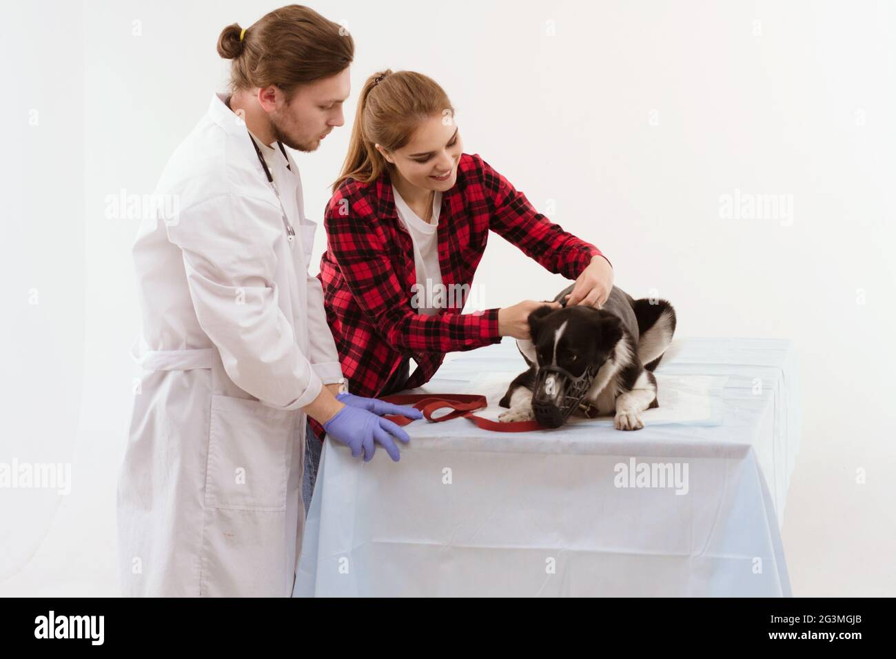 Dog getting checked at vet with their owner Stock Photo Alamy