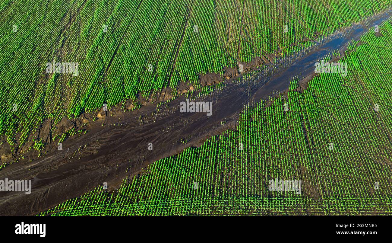 View from the drone on the rain-damaged agricultural fields Stock Photo -  Alamy