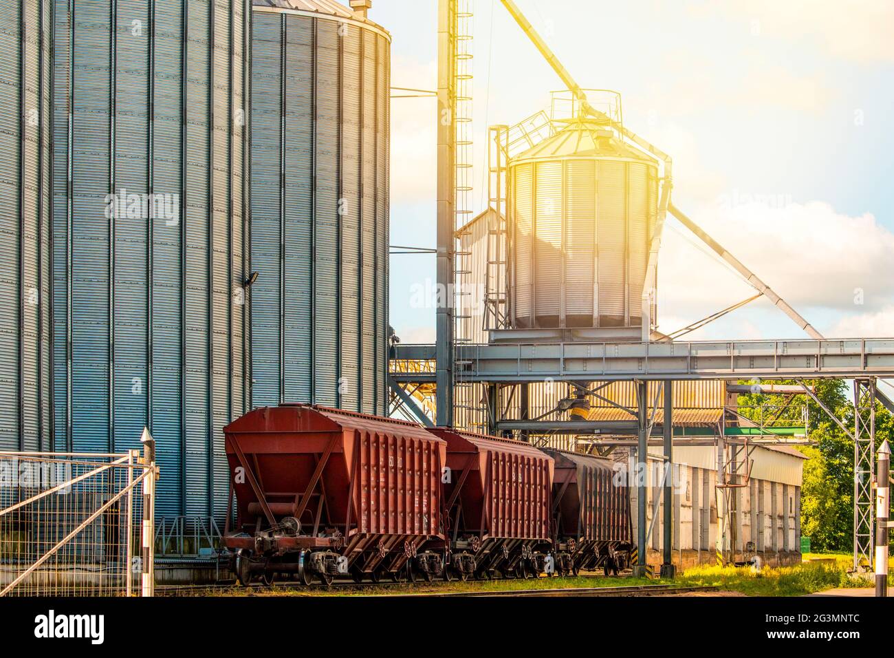 Train cars with grain arrived at elevators in the agricultural sector ...