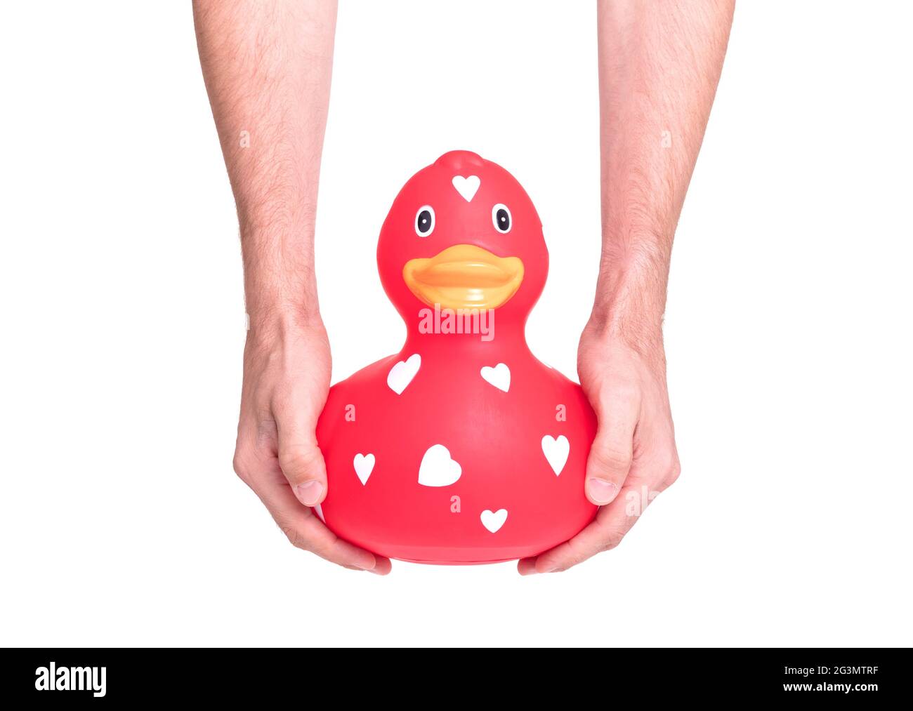 Hands holding large red rubber duck Stock Photo