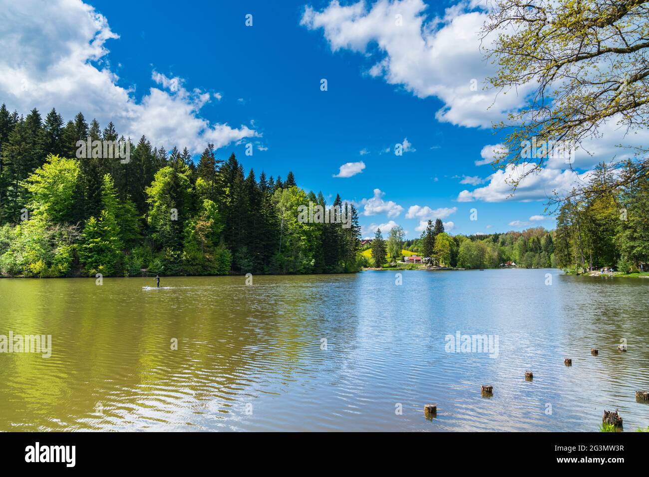 Germany, Perfect nature landscape of ebnisee lake water surrounded by forest and trees in swabian forest near kaisersbach and welzheim in summer Stock Photo