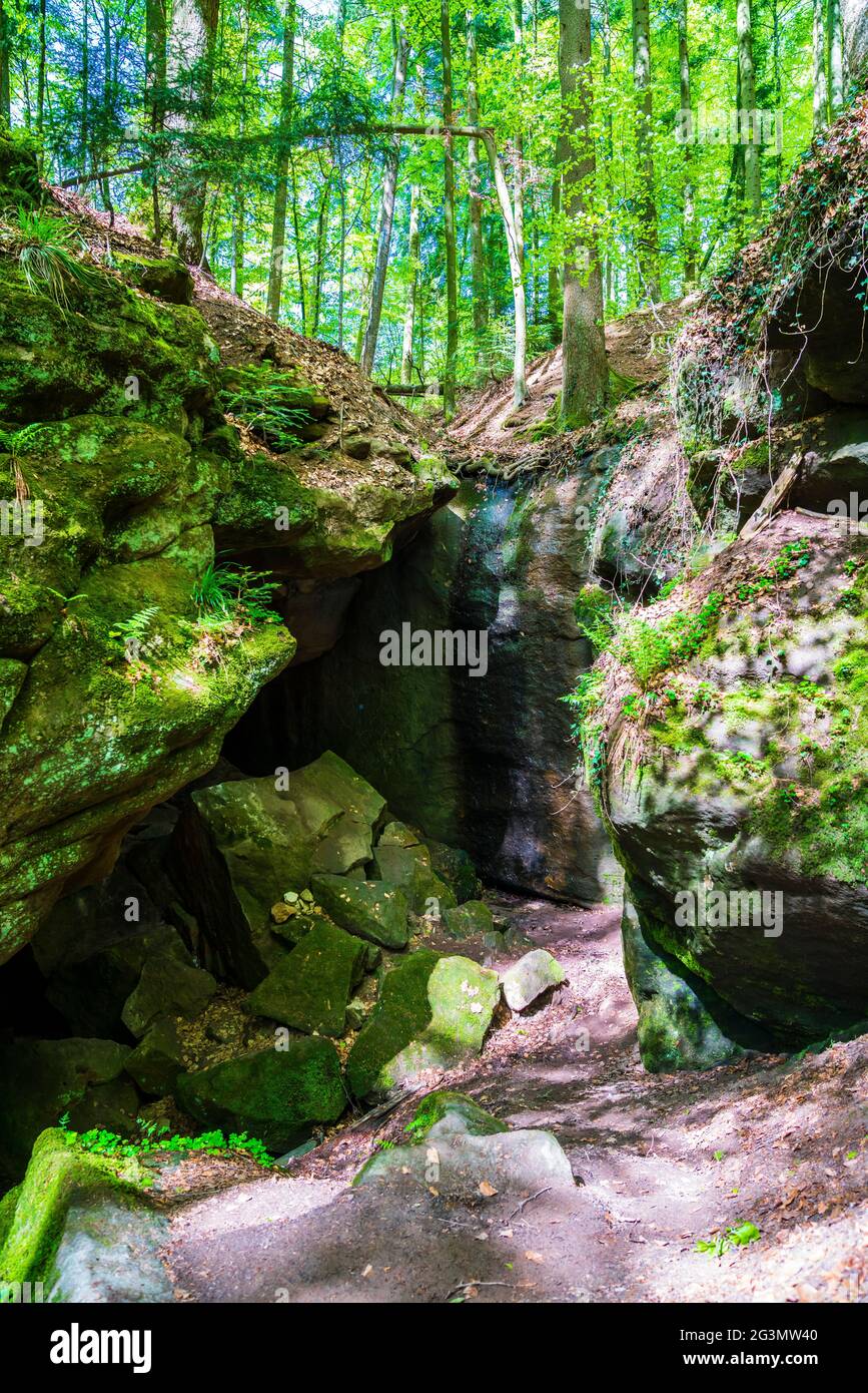 Germany, Gallengrotte natural cave in nature landscape of  forest and trees in swabian forest near kaisersbach and welzheim in summer Stock Photo