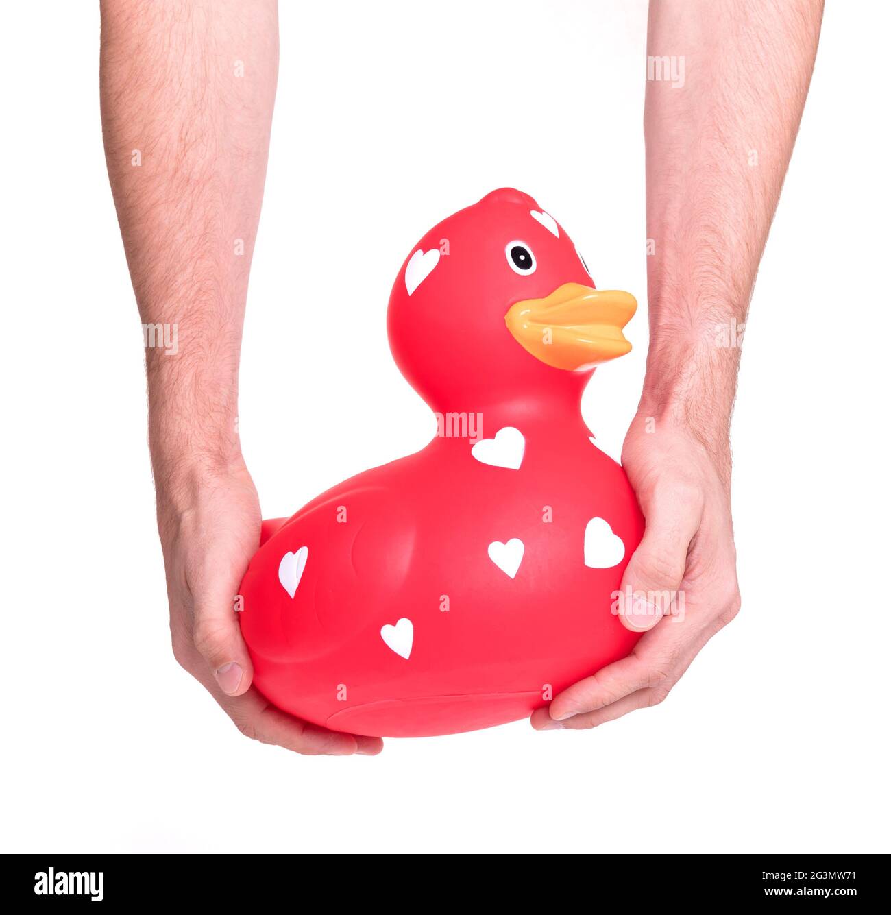 Hands holding large red rubber duck Stock Photo