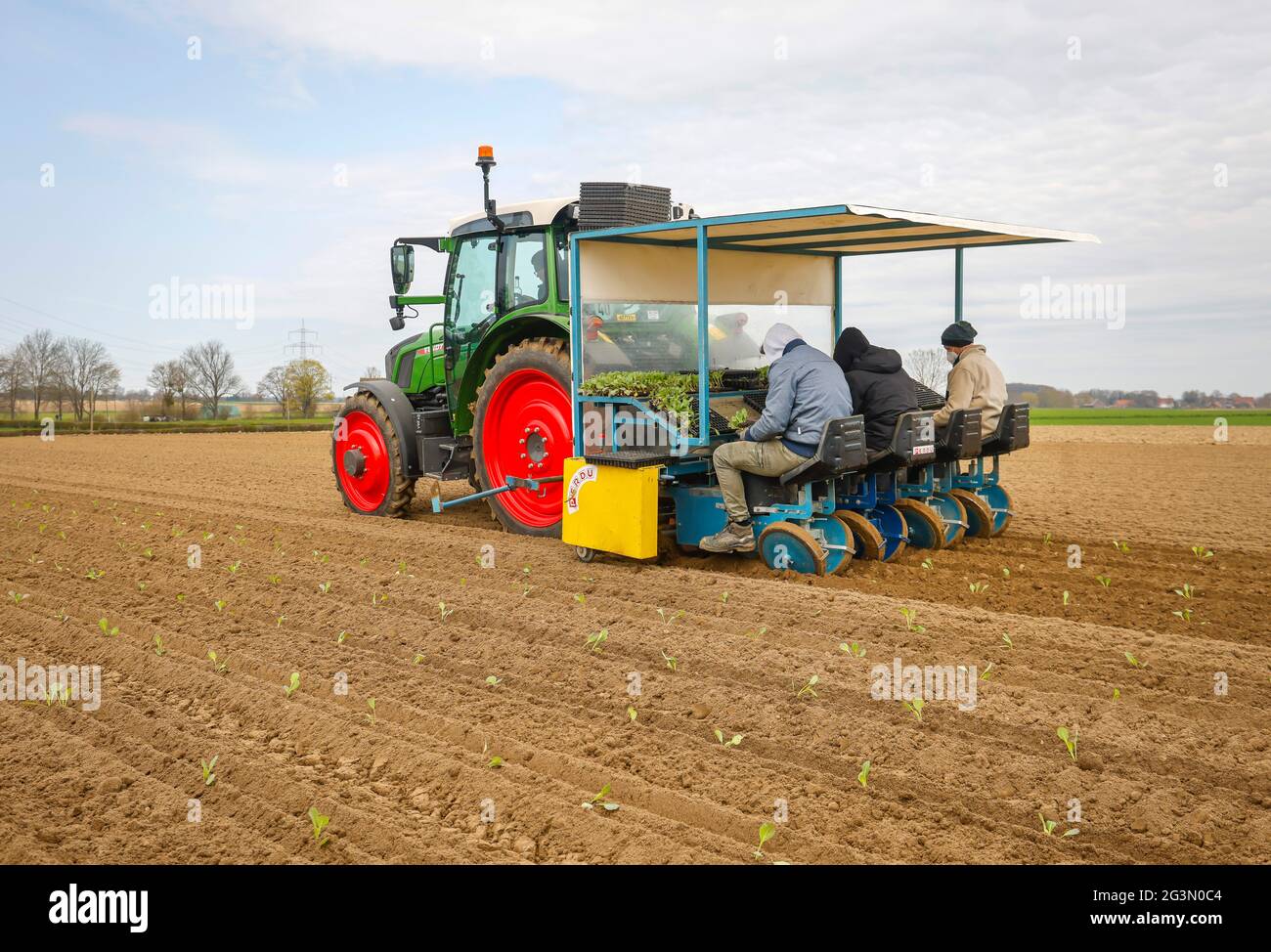 Tractor planter farm cabbage hires stock photography and images Alamy