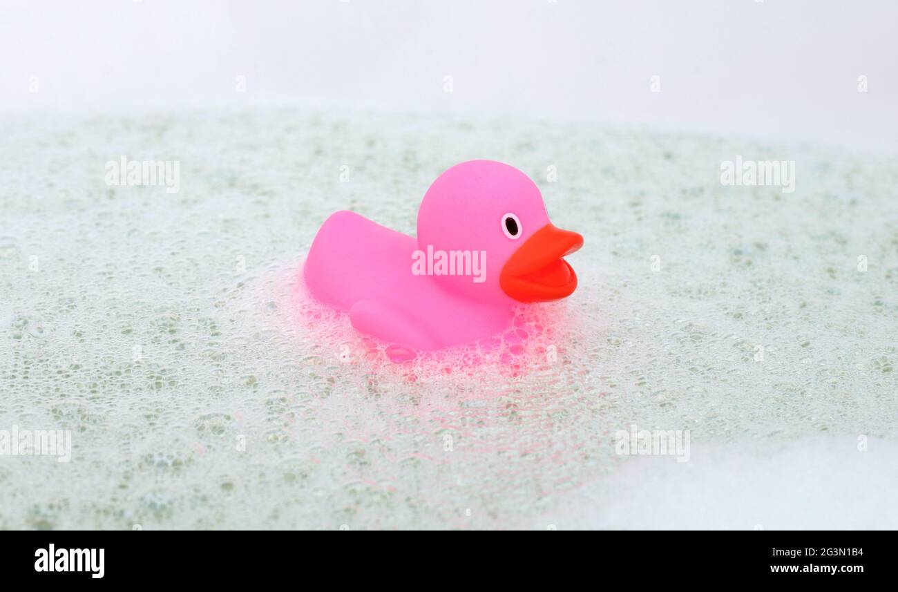 Pink duck in a bathtub Stock Photo Alamy