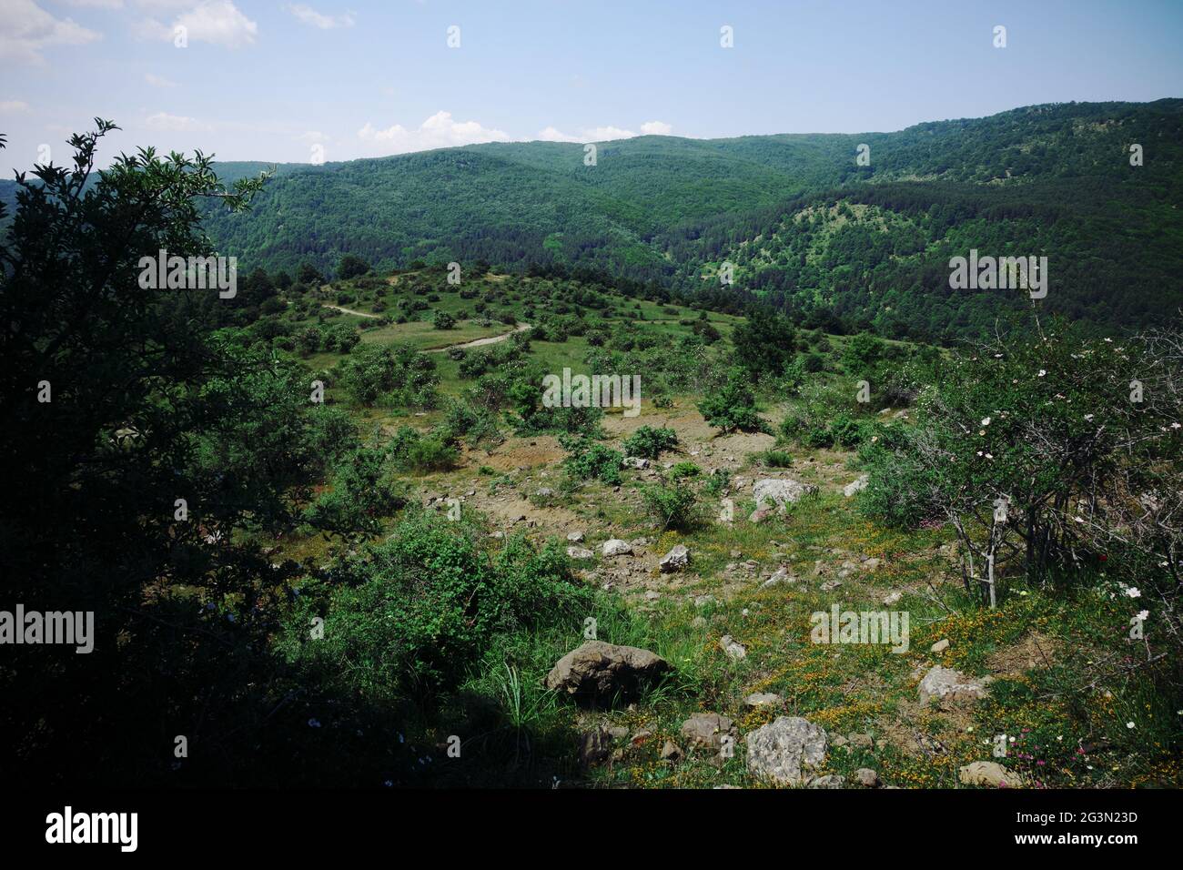 mountain range covered of trees a landscape in Sicily of Nebrodi Nature Reserve Stock Photo