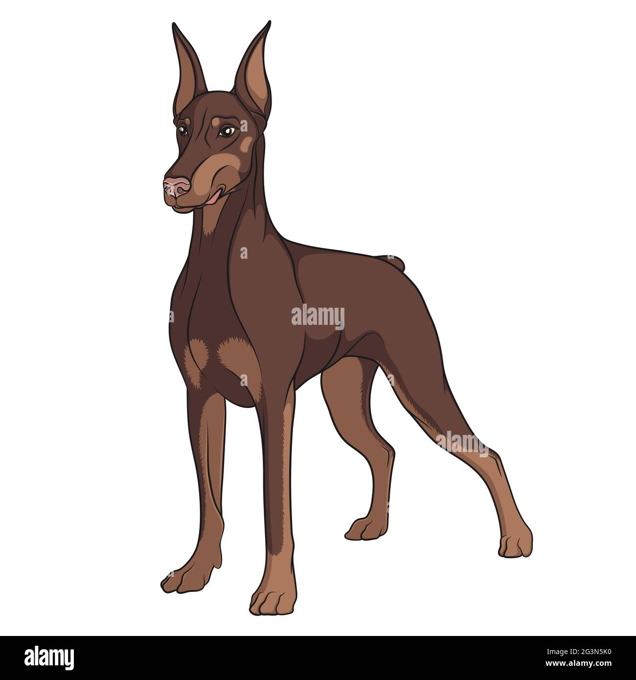Are Dobermans Used As Police Dogs