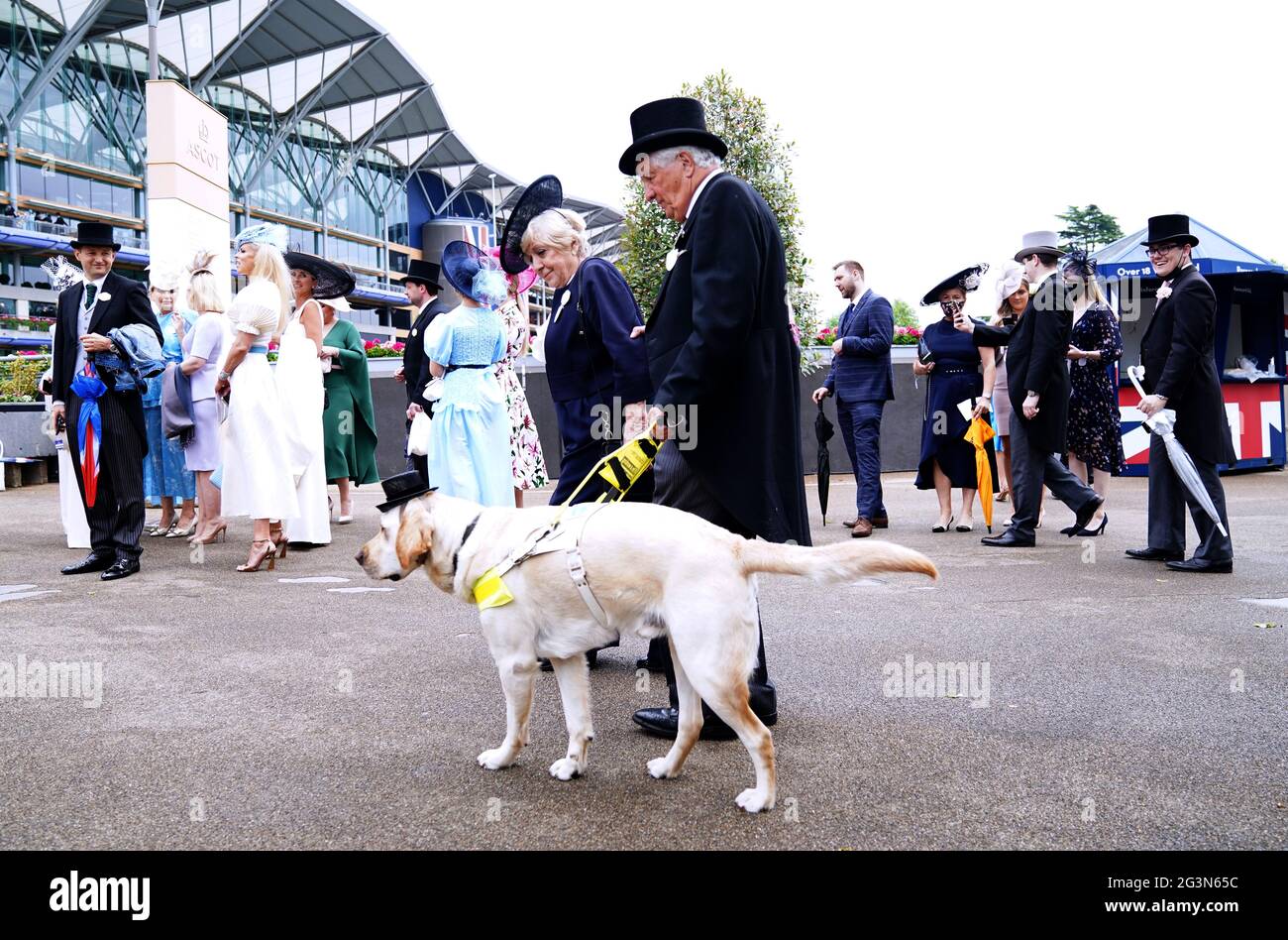 Guide dog Jimbo with his owner David Adams attend day three of Royal Ascot at Ascot Racecourse. Picture date: Thursday June 17, 2021. David Adams and his guide dog Jimbo will climb Marston Hill 197 times over the next few months, totalling a height of 29,031 ft equivalent to that of Mt. Everest, to raise funds for European Guide Dogs, Motor Neurone Disease and Warwickshire Association for the blind. Stock Photo