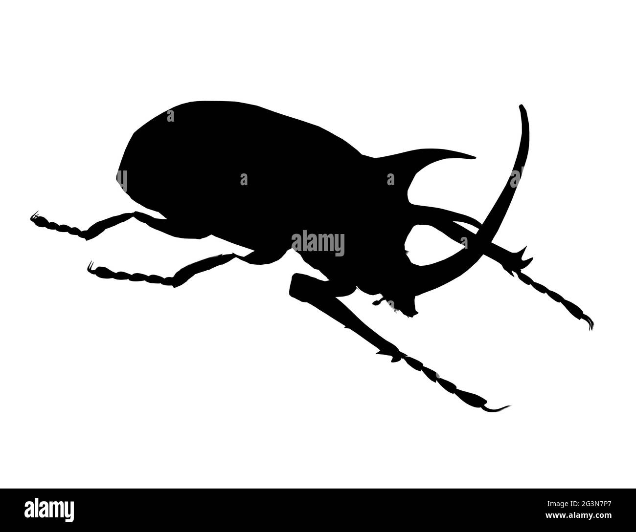Rhinoceros beetle silhouette isolated on white background. Vector illustration. Stock Vector