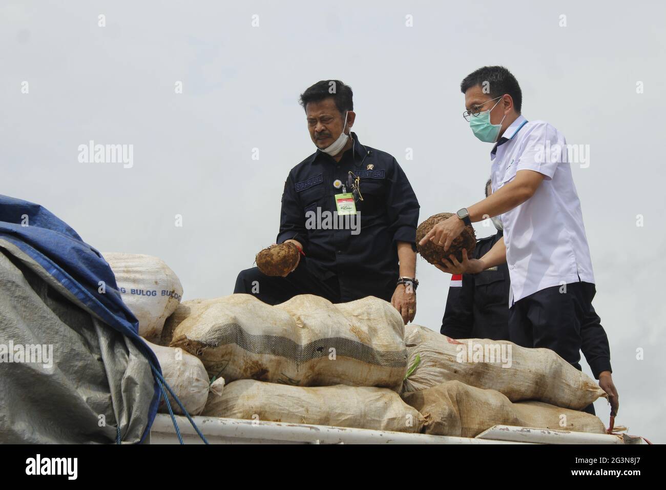 Madiun, Indonesia. 17th June, 2021. Minister of Agriculture of the Republic of Indonesia Syahrul Yasin Limpo (left) showing porang tubers (Amorphophallus muelleri) on a truck at the porang processing factory yard in Kuwu Village, Balerejo District, Madiun Regency (Photo by Ajun Ally/Pacific Press) Credit: Pacific Press Media Production Corp./Alamy Live News Stock Photo