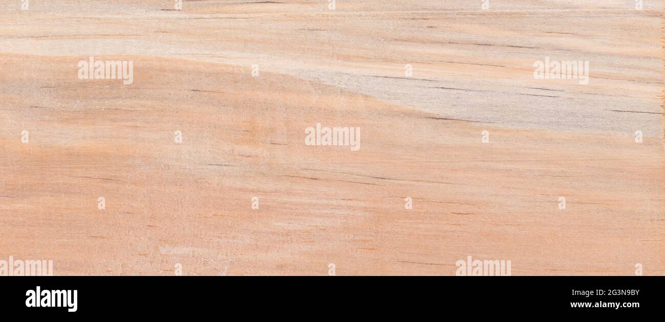 Wood from the tropical rainforest - Suriname - Pinus caribaez Stock Photo