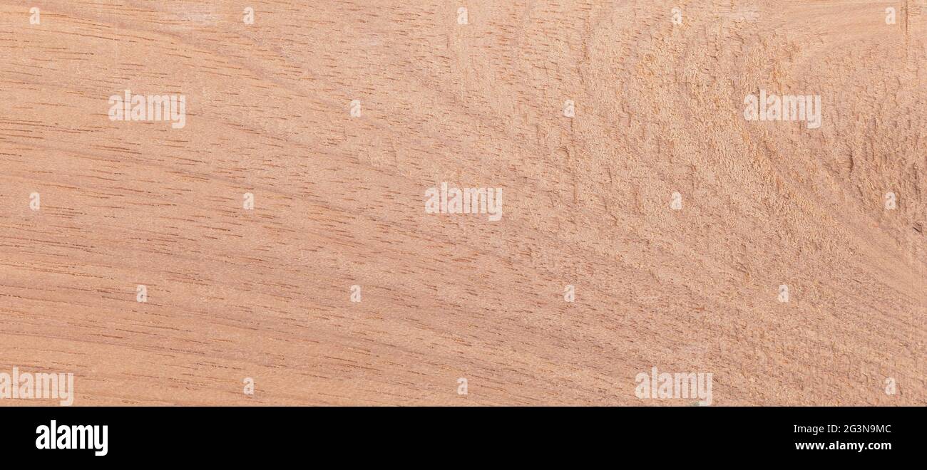 Wood from the tropical rainforest - Suriname - Couratari spp Stock Photo
