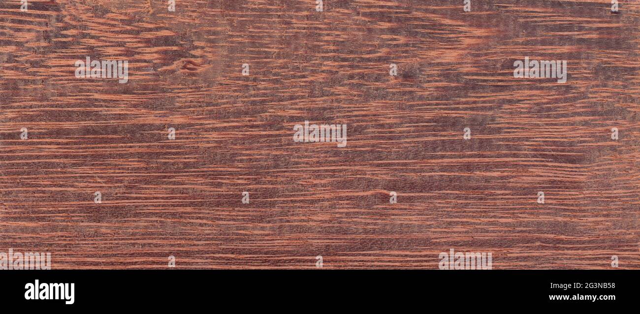 Wood from the tropical rainforest - Suriname - Andira Coriacea Pulle Stock Photo