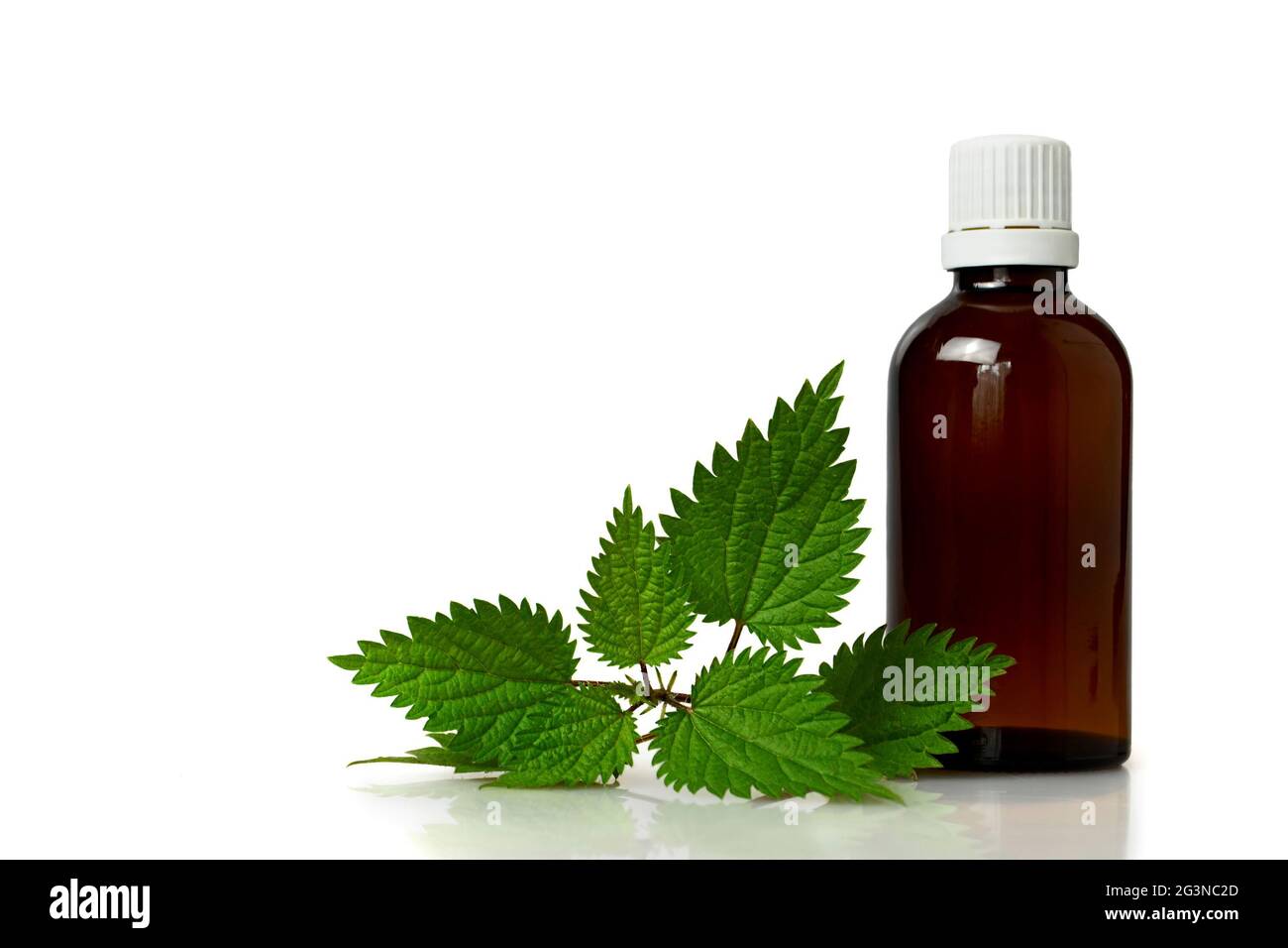 Stinging nettle essential oil or tincture in a bottle isolated on white background Stock Photo