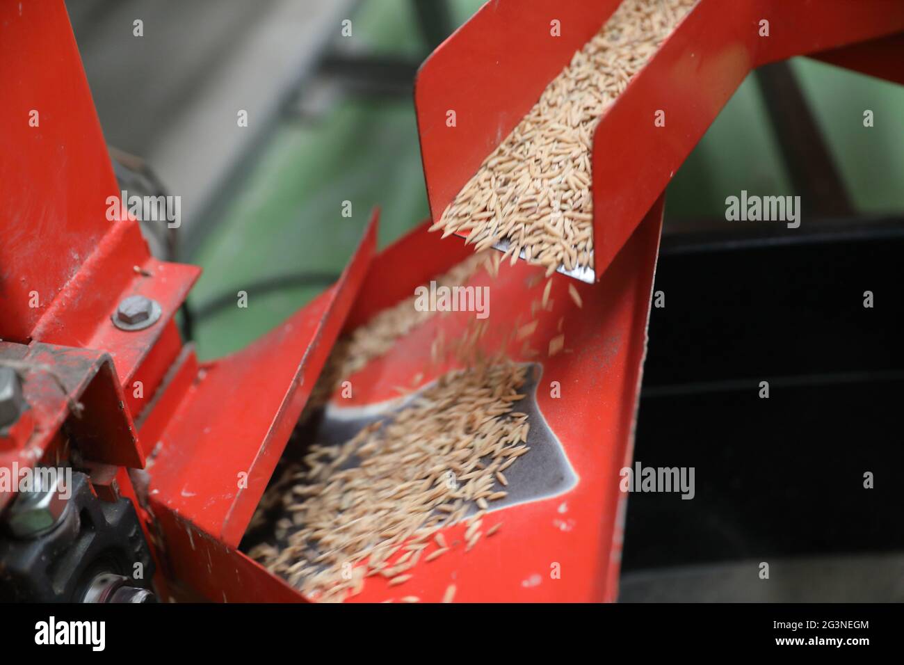 Factory machine Milling rice in close up Stock Photo Alamy