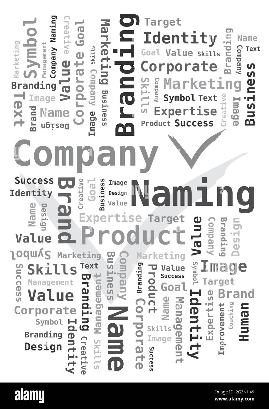 Company Naming - Word Cloud in Gray Colors with Check Symbol Stock Vector