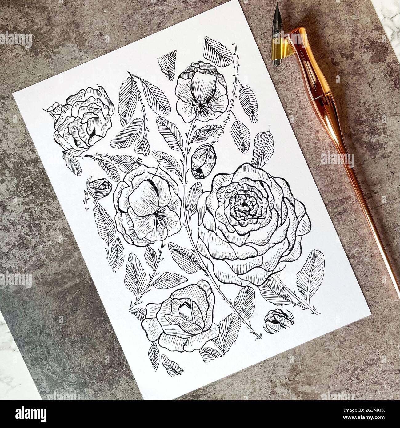 Handmade Card with Vintage Roses Made with ink and pointed pen Stock Photo