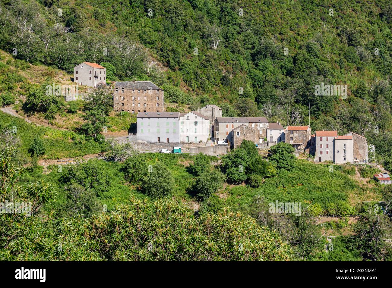 Mountain hamlet in the Castagniccia region. Corsica, France Stock Photo
