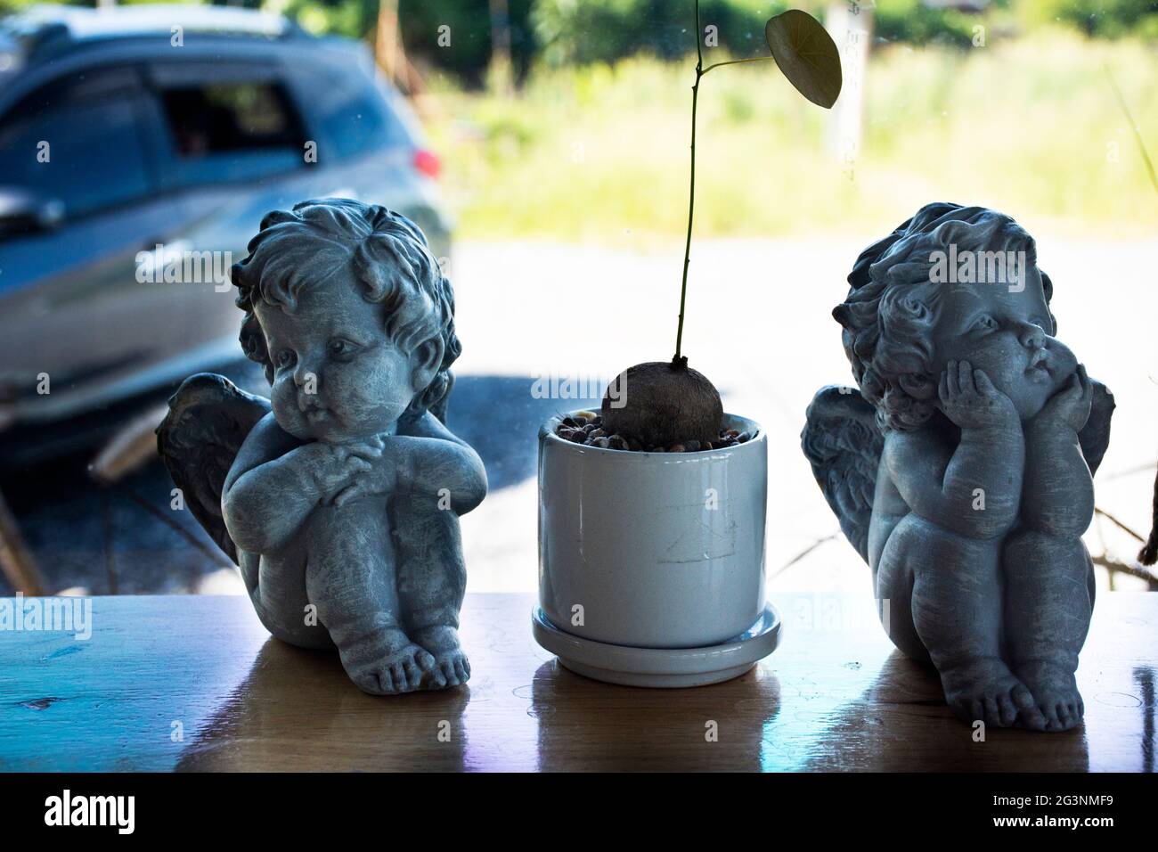 Classic Retro Vintage Children Angel Statue And Small Tree Pot Decorate In Modern Cafe And Restaurant Coffee Shop In Nakhon Pathom Thailand Stock Photo Alamy Classic Retro Vintage Children Angel Statue And Small Tree Pot Decorate In Modern Cafe And Restaurant Coffee Shop In Nakhon Pathom Thailand Stock Photo Alamy