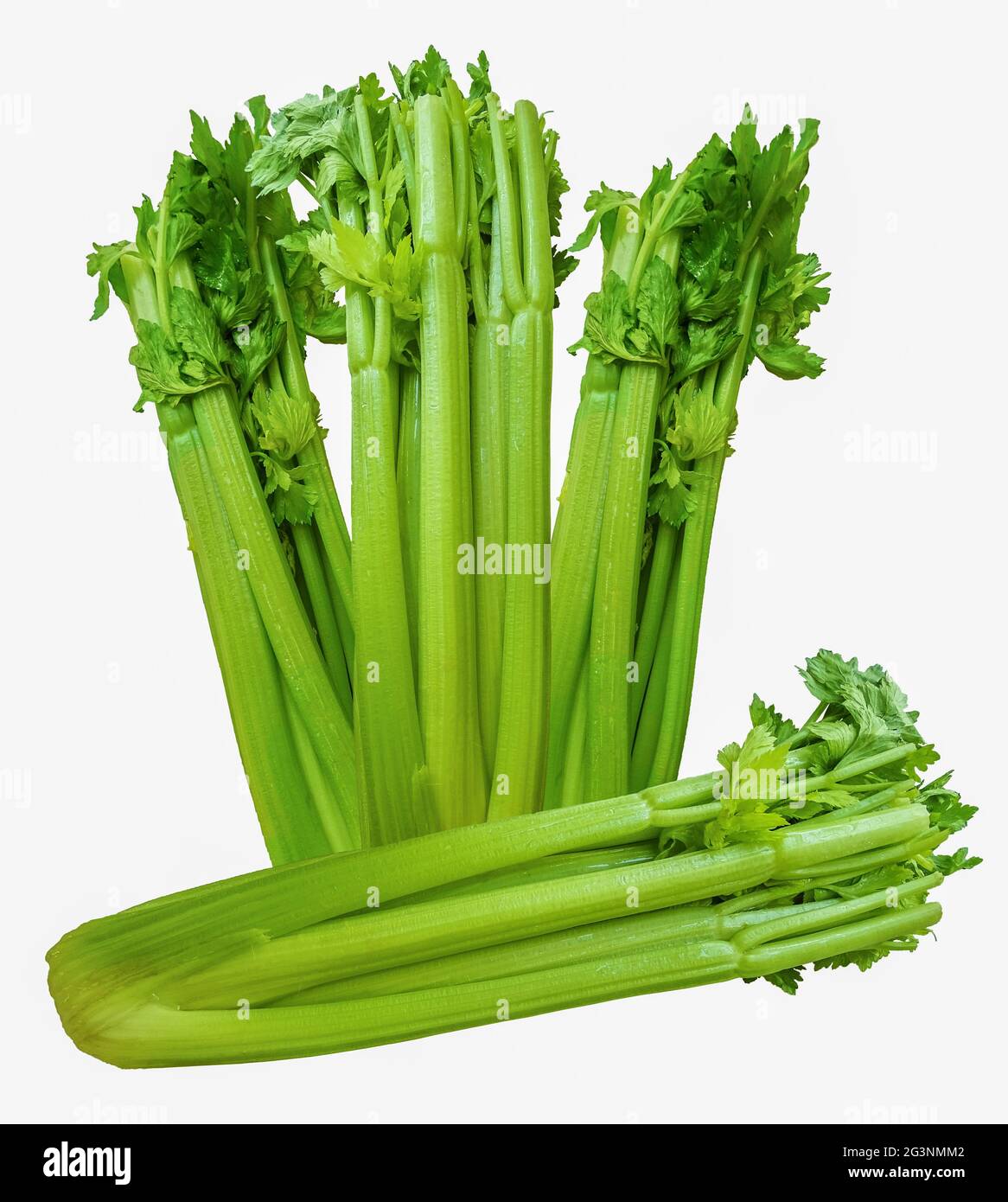 Three upright and one laid celery sticks. Long stalks of celery with few leaves on top. Stock Photo