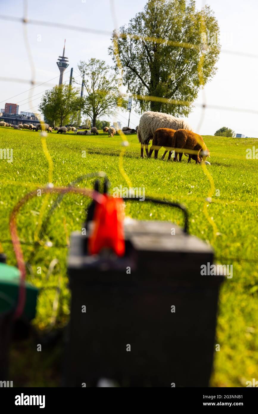 Electric fence with an electrical transformer and battery power pack in