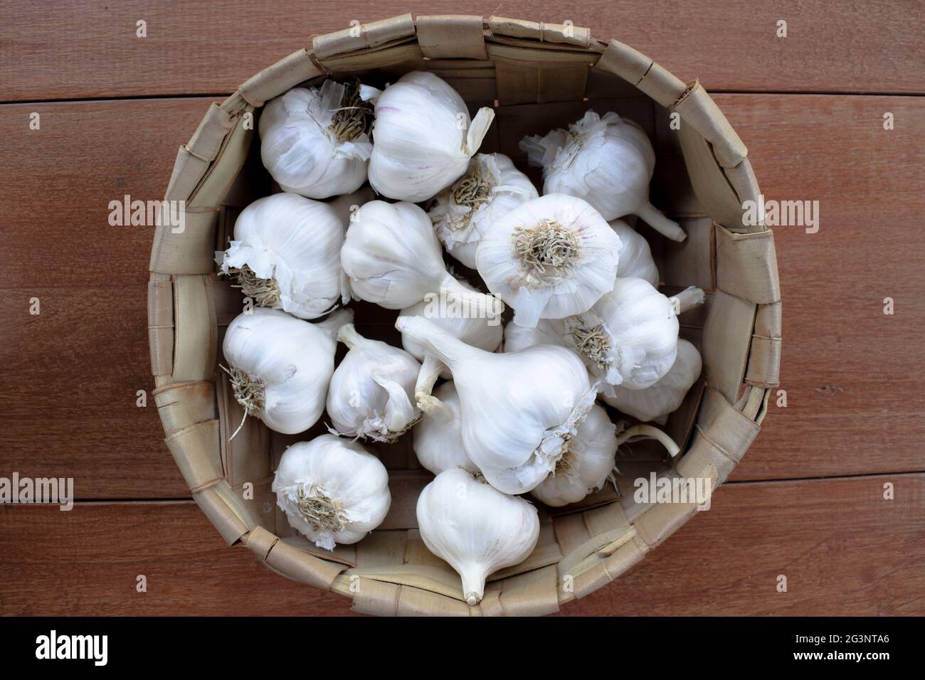Fresh organic whole Garlic bulbs in wicker basket on wooden background. Stock Photo