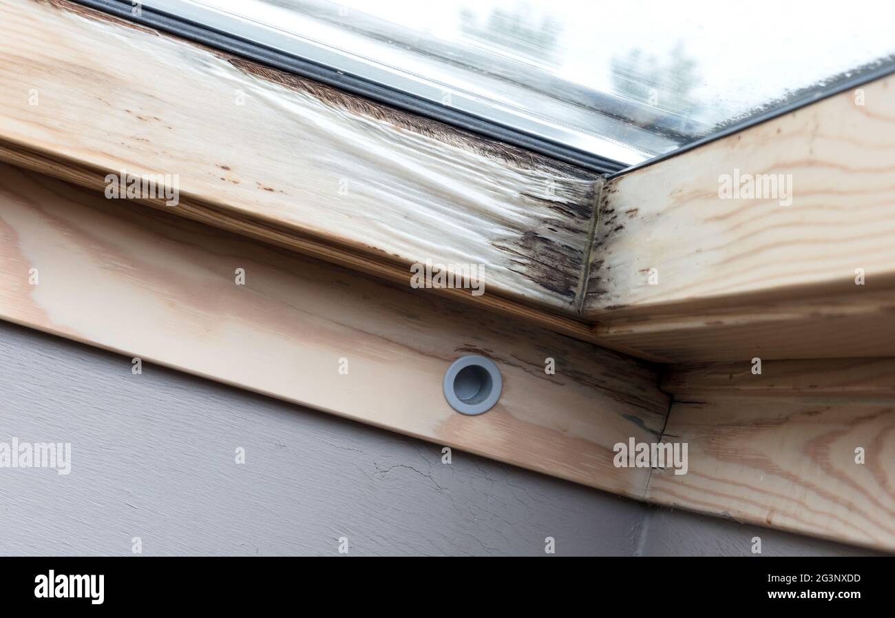 Roof window after leaking Stock Photo Alamy