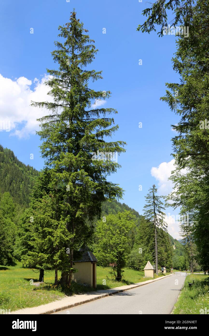 Chapelles. Chemin de Croix. Route de Notre-Dame de la Gorge. Les Contamines-Montjoie. Haute-Savoie. Auvergne-Rhône-Alpes. France. Stock Photo