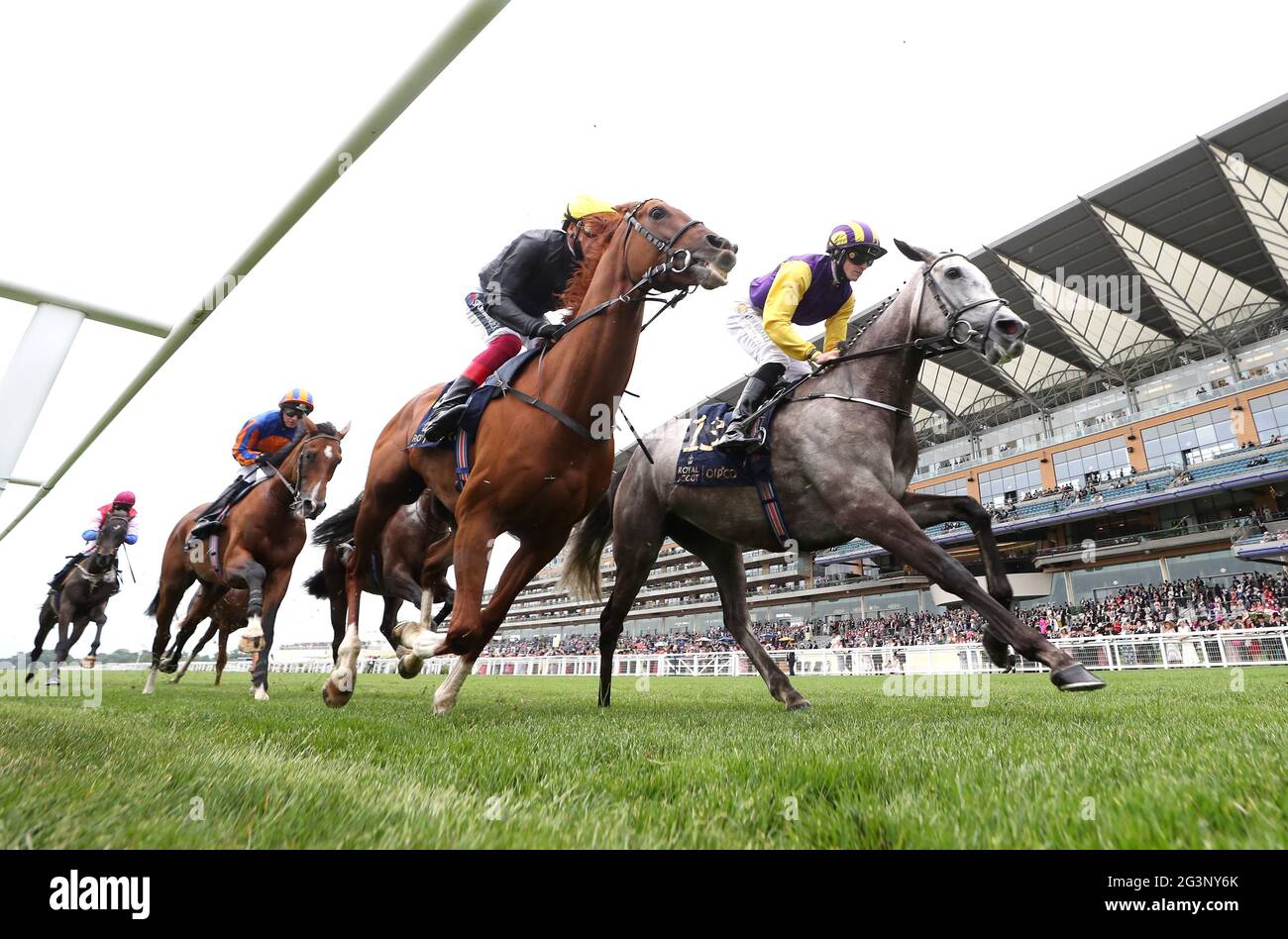 Jockey joey sheridan hires stock photography and images Alamy(08)