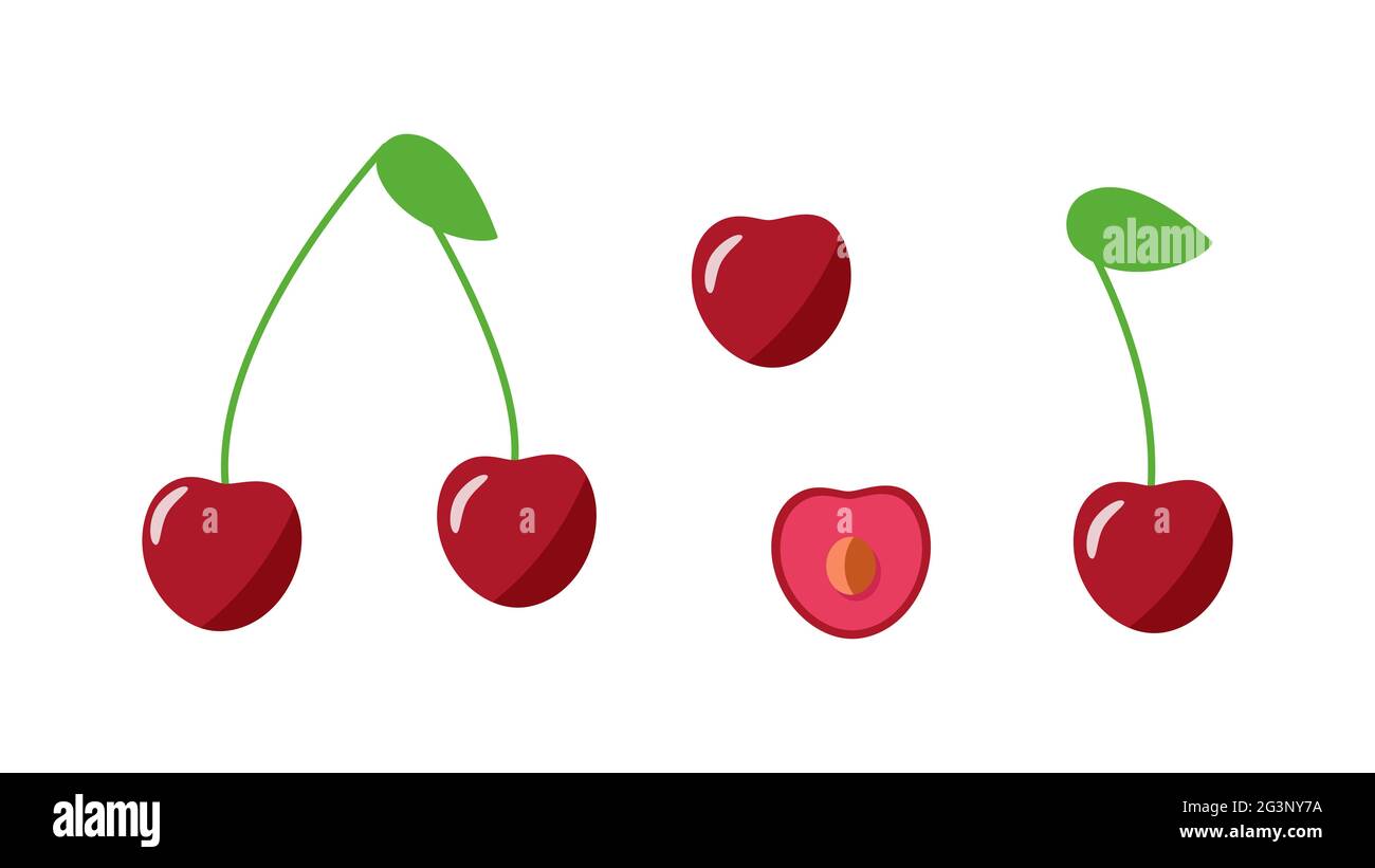 Cherry whole with a leaf, half a cherry berry with a stone. Vector illustration of a set of fresh cherry berries Stock Photo