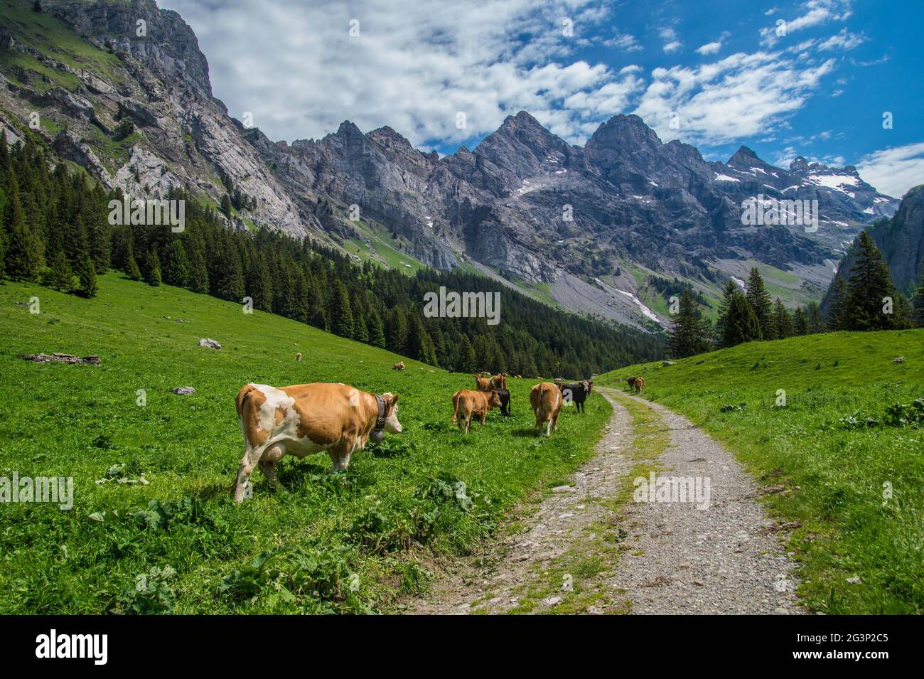 Landscape of the Swiss Alps Stock Photo - Alamy