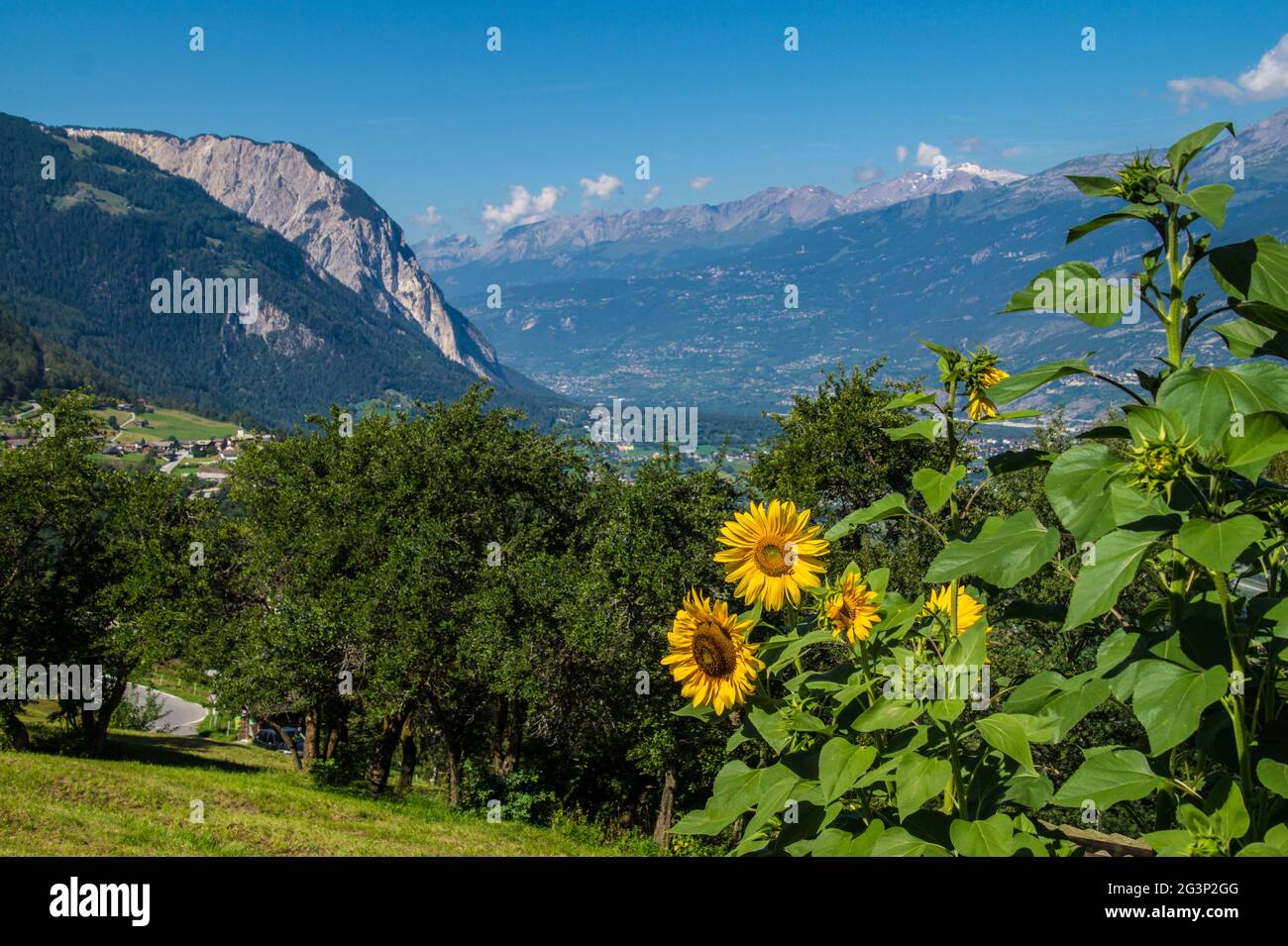 Landscape of the Swiss Alps Stock Photo - Alamy