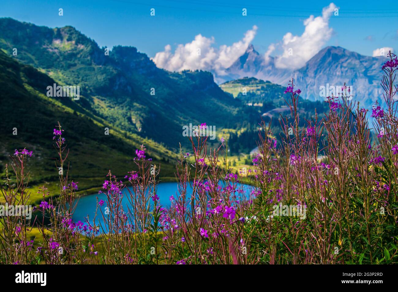 Landscape of the Swiss Alps Stock Photo - Alamy