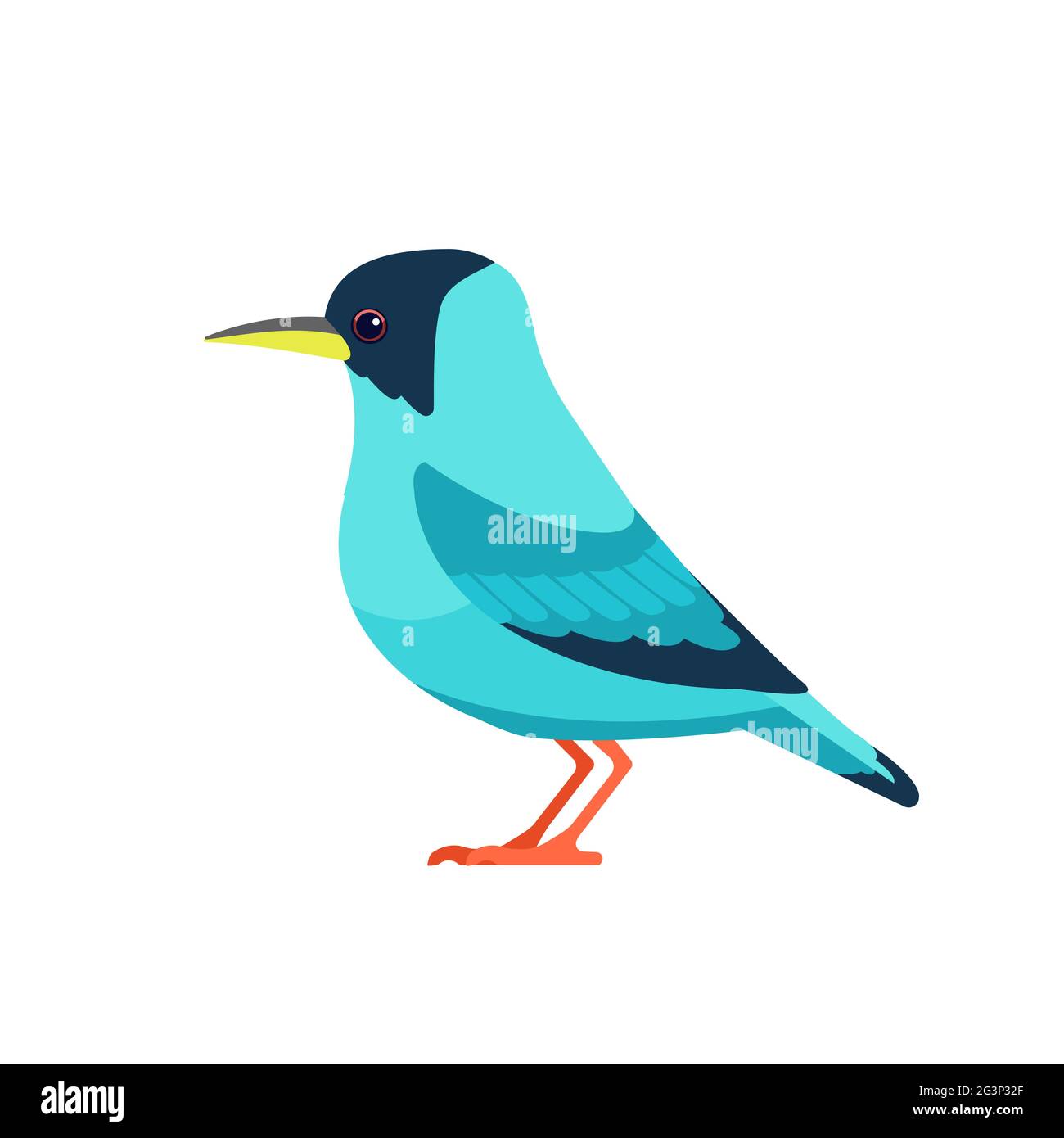Green honeycreeper is a small bird in the tanager family. Chlorophanes spiza. Exotic blue Bird Cartoon flat style beautiful character of ornithology Stock Vector