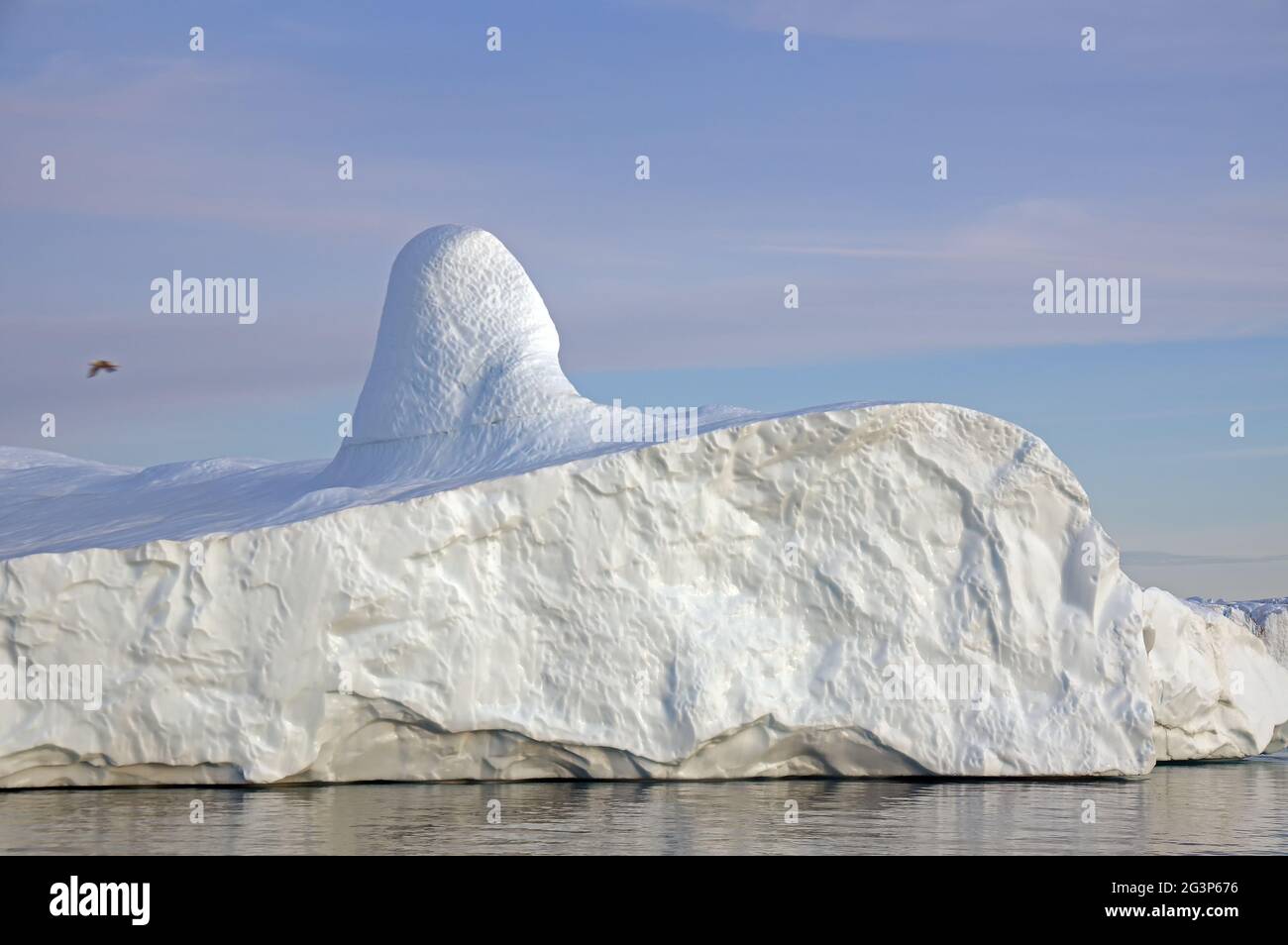 Icebergs in the midnight sun Stock Photo