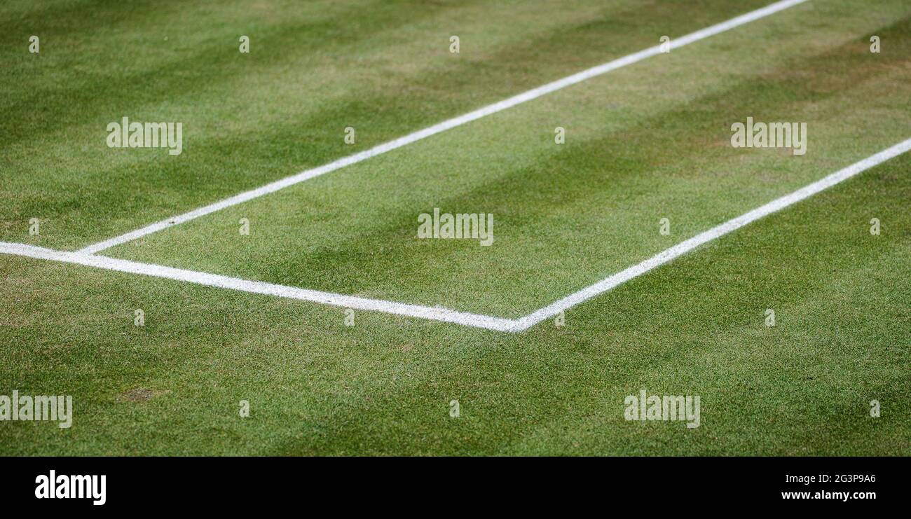 Grass court illustration at the 2021 bett1open WTA 500 tennis tournament on June 17, 2021 at Rot-Weiss Tennis Club in Berlin, Germany - Photo Rob Prange / Spain DPPI / DPPI / LiveMedia Stock Photo