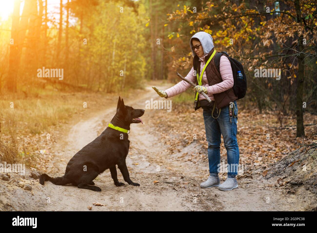 Woman Trains A Dog While Hiking In Forest Stock Photo