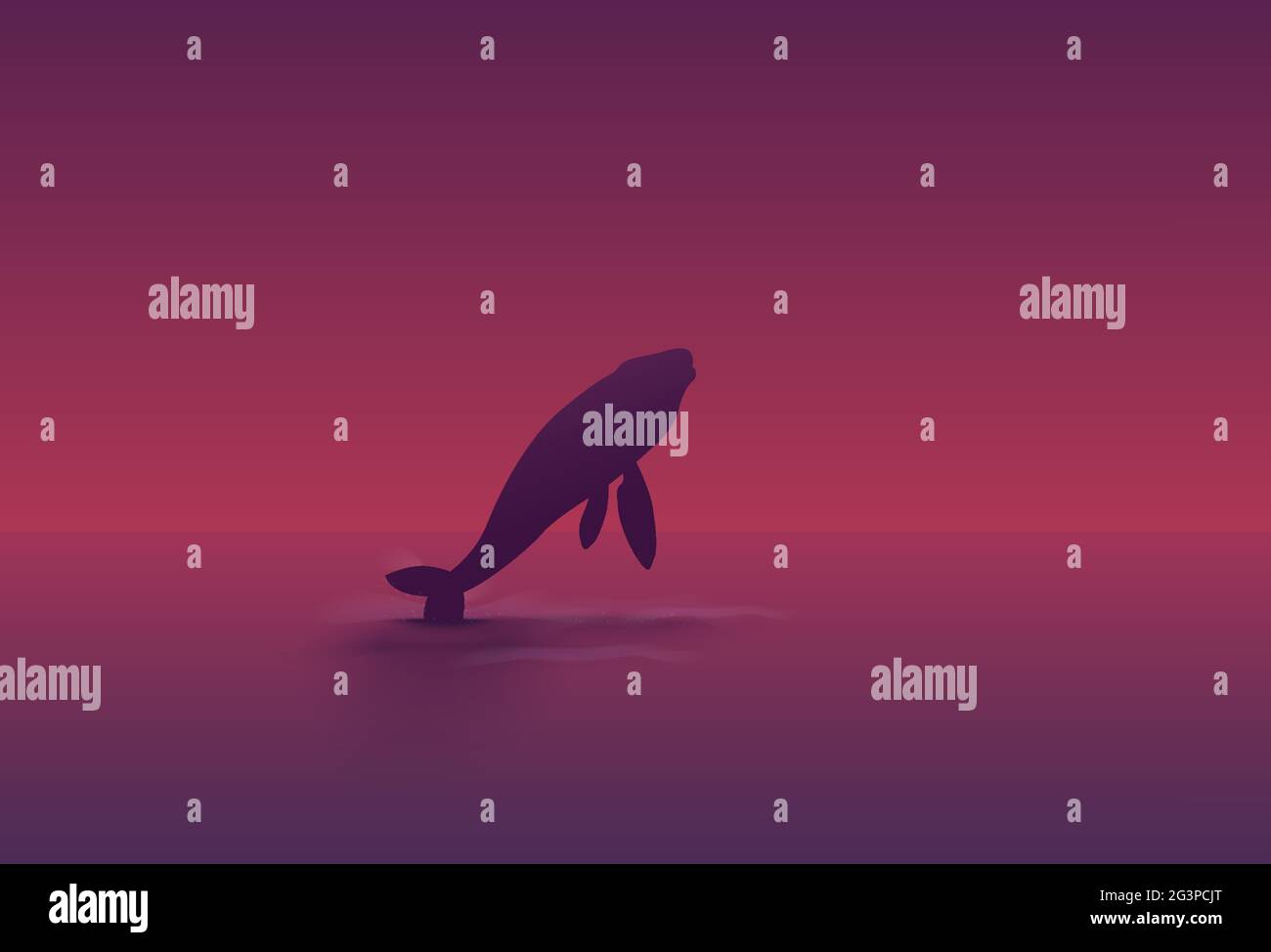 humpback whale jumping in the ocean at sunset Stock Vector Image & Art ...