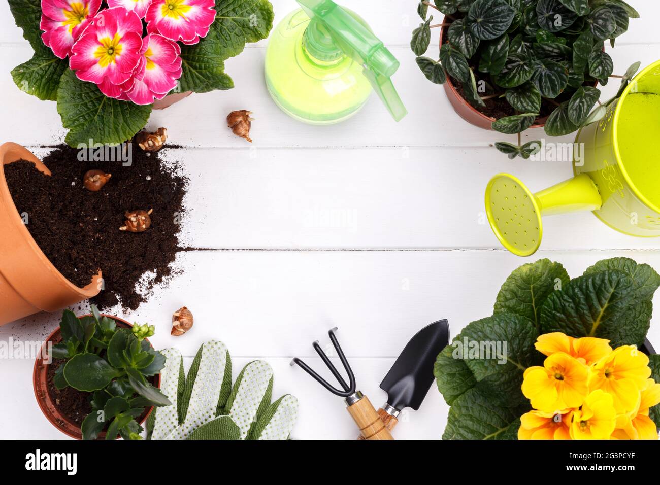 Plank gardening hi-res stock photography and images - Alamy