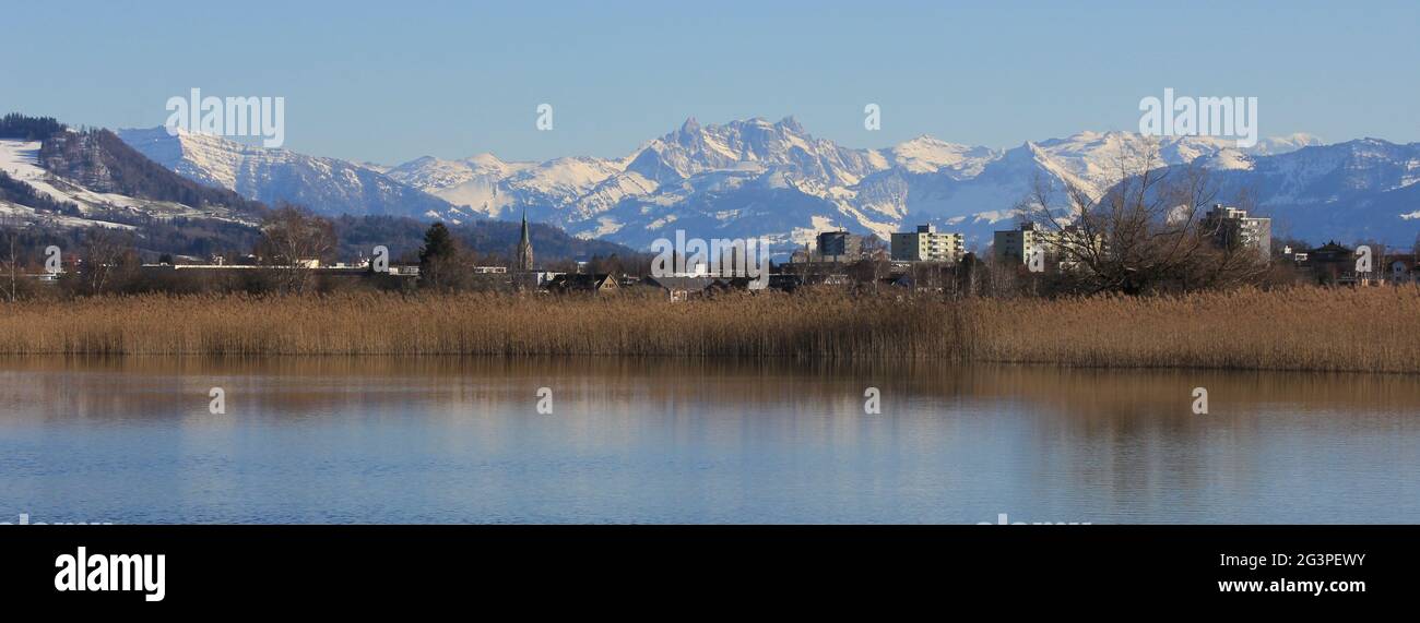 Reed at the shore of Lake Pfaffikon, town Wetzikon and snow covered mountain range. Stock Photo