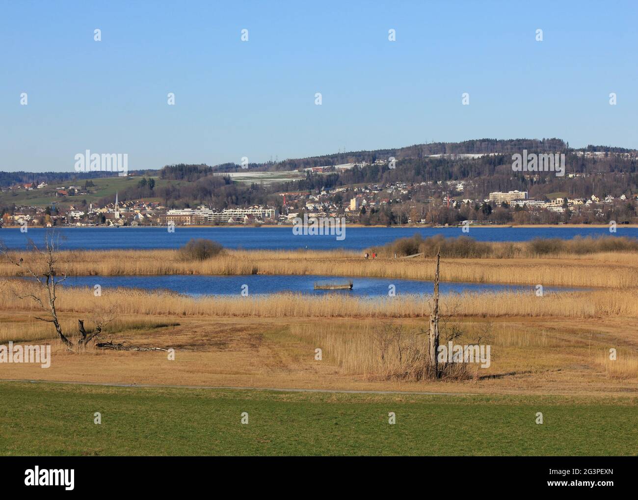 Shore of Lake Pfaffikon on a winter day. Stock Photo