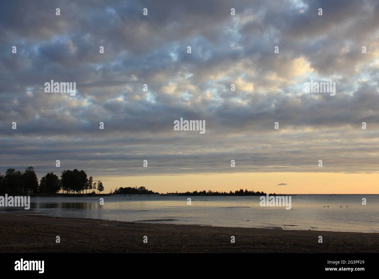 Cloudy summer morning at the shore of Lake Vanern Stock Photo