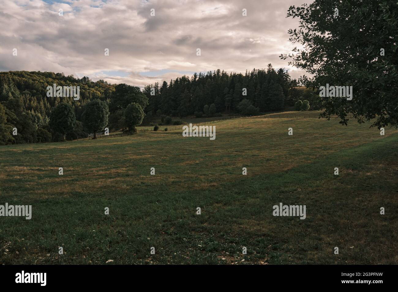 Green field lighted up by the sunset Stock Photo - Alamy