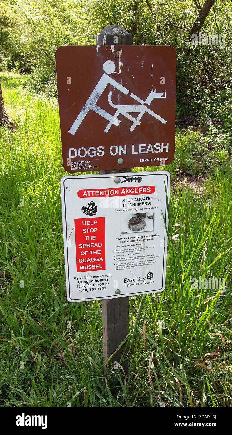 Quagga Mussel and dogs on leash signs in an East Bay Regional Park in California Stock Photo